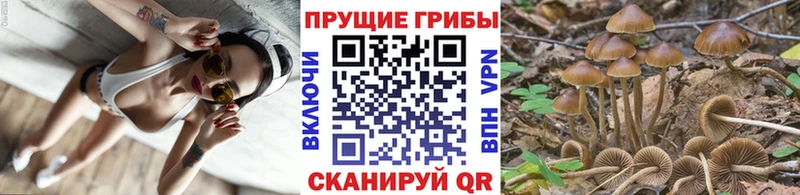 Псилоцибиновые грибы прущие грибы  Армянск 